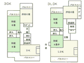 禁断の公営住宅